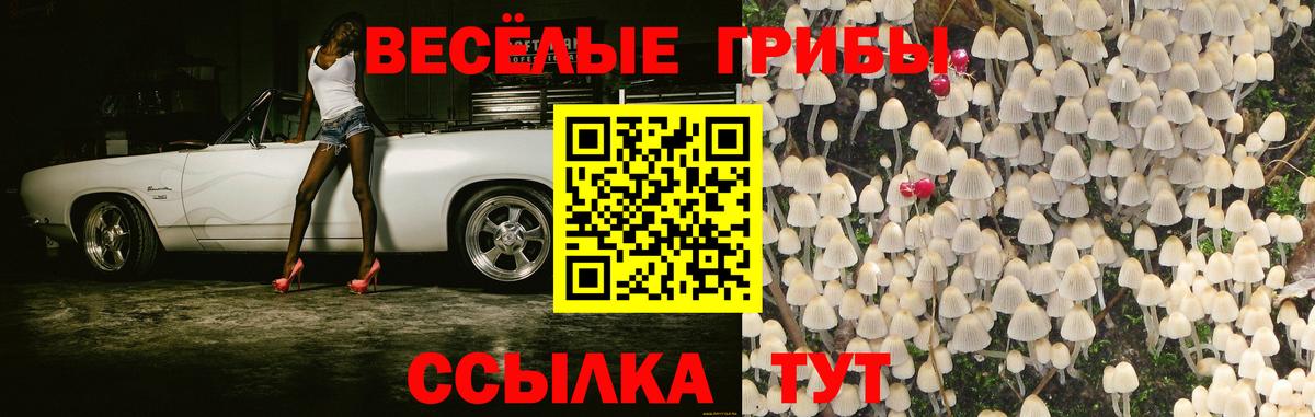 Псилоцибиновые грибы прущие грибы  Галлюциногенные грибы GOLDEN TEACHER  Верхняя Салда  Вход с VPN 